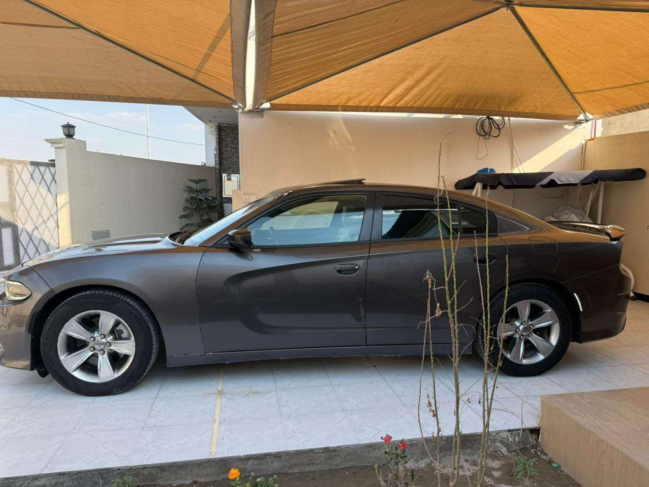 السلام عليكم جارجر gt موديل 2016اصل وارد كندي داخله كلين صار بيه جاملغ خلفي ضربه مقدار شبرين ورشات صبغ بدون ضربه شاصي لغد مكفوله السياره مكينه 3600تو ويل فتحه شاشه جبيره كامره خلفيه حساس ماشيه 160جاهزه من كلشي رقم قادسيه الدولي سنويه باسمي تحويل مباشر مكاني ديوانيه سعره 158ت*********** ديوانية, القادسية
