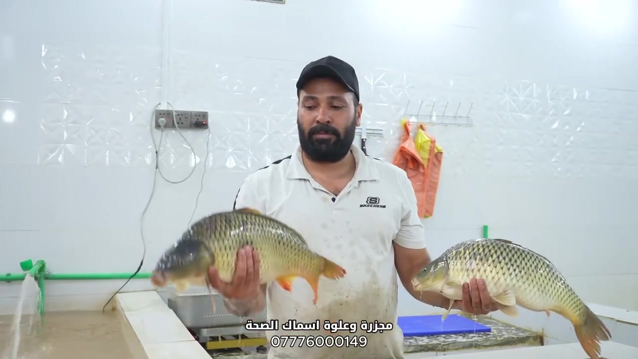 تنفيذ اعلان لصالح 
مجزرة وعلوة أسماك الصحة 🐟🔥
* مسكوف على الحطب والتنور
* دجاج مشوي على الحطب
* أجنحة دجاج مشوية بطعم مميز
📍 العنوان: شارع المستشفى مجاور قاعة وجم 66
* كيلو السمك (بدون شوي): 5,500 دينار
* كيلو السمك المشوي: 7,000 دينار
***********
