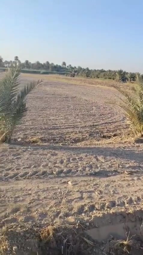*🌳🏡 5 دوانم للبيع 🏡🌳*  
*📍 كربلاء - منطقة بنات الحسن*

*📐 مواصفات الأرض:*  
🔹 *المساحة*: 5 دوانم 📏  
🔹 *الواجهة*: 55 متر 👌  
🔹 *الشارع*: على التبليط مباشر 🛣️✅  
🔹 *الخدمات*: ماء 💧 + كهرباء ⚡ واصلين  
🔹 *السند*: تحويل أسهم 📜  
🔹 *البيع*: كلي أو منفرد 💰✔️  

*📞 للاستفسار والتواصل:*  
***********📱  

📩 أو راسلنا على الماسنجر 💬  
*🏢 مكتب عمار الشامي للعقارات* 🤝
