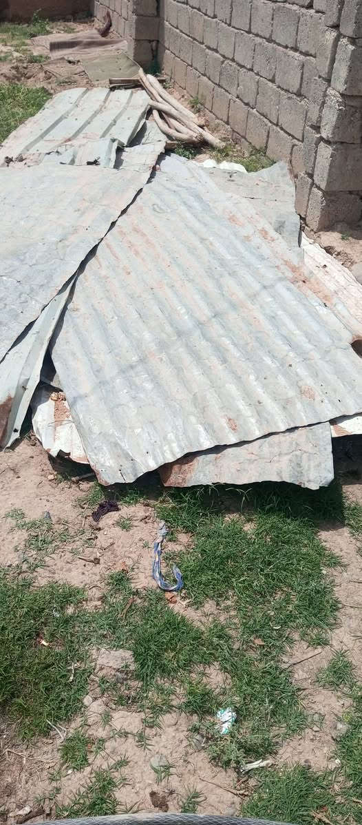 سلام عليكم اخوان عندي جنكوات للبيع العنوان قريه شكراً ***********
