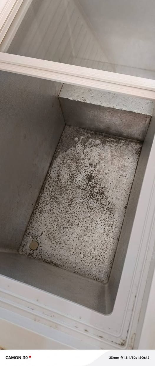 سلام عليكم مجمدة للبيع نوع دنكا بيها ليك الماطور شغال السعر قيم بالي يرضي الله وبالعافية عليك عنوان النجف *********** واتس اب او اتصال
