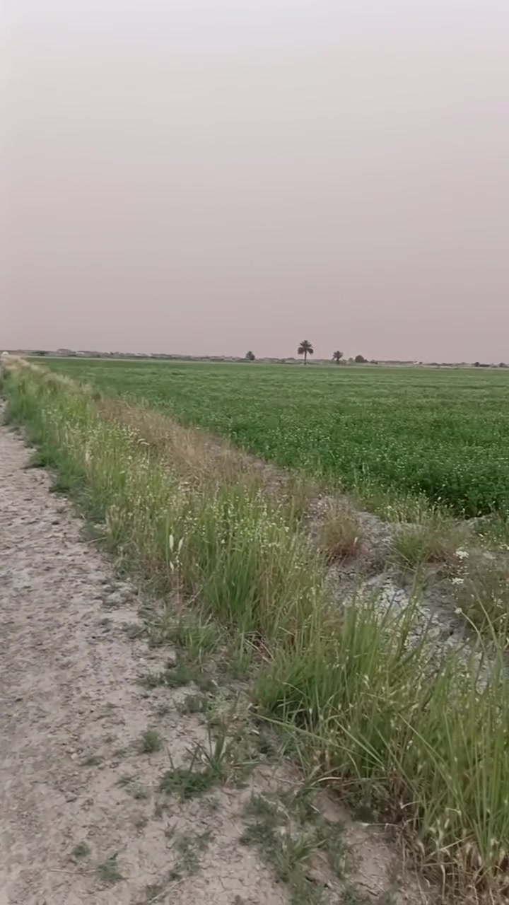 السلام عليكم يوجد8دونم التاجي منطقة الشيخ عامر
متوفرة بي كل الخدمات مي كهرباء الارض مخدومة ⚡
مكان هادئ وكلش تكدر كلشي سوي مزرعة لترفيه للعائلة متكلفك شي لن كلشي متوفر بل منطقة تكدر تخليها  للوكت لن سعرها جاي يزيد كل فترة واخذو بيها هواي سعرالدونم 30وبي مجال الوجهه 50 والنزل 50 ثاني يوم فتح بيان تحويل بسم المشتري مباشر للاستفسار ***********
