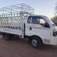 مديل 20 • كفاله عامه • تحويل مباشر