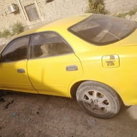 مارك • رقم بصره • لوحة ١٣