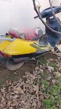 موتور ليدي • بدون كفرات • سامراء