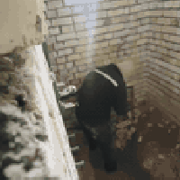 كربلاء • اعمال