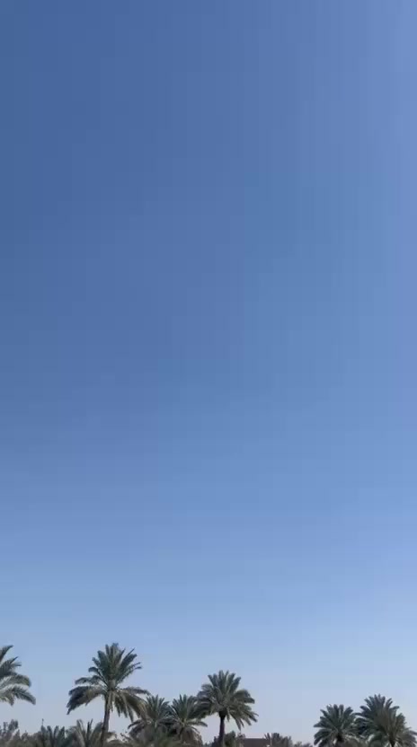 سلام عليكم دراجه فراشة نثيه للبيع كفاله عام من الشخط هندر شغاله بك لايت كلهن شغالات فقط سلف جيب باتري ونكر سلف السعر خاص او استفسار على رقم ***********
