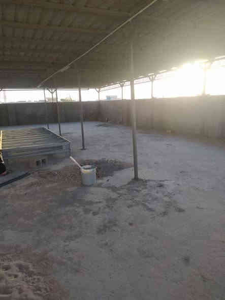 بسم الله الرحمن الرحيم اسعد الله اوقاتكم احبتي يتوفر لدينا 1300 متر وبيه بيت قاطين يتكون من 8 غرف كبيرة وديوان وحديقة كراج جبير طابو زراعي عراقي مكاتبه وي صاحب الارض عنوان البصره ابو الخصيب ام نعاج طريق معمل ثلج الامي وطب سعر 650 وبيه مجال ***********.    ***********
