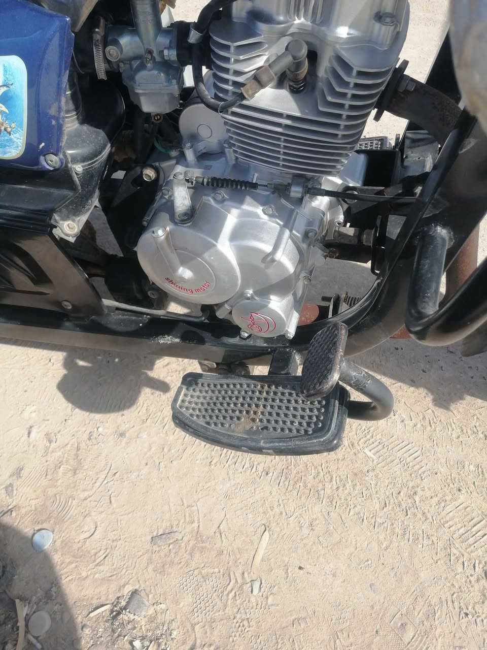 ستوته 23 سنويه ديوانيه ***********
