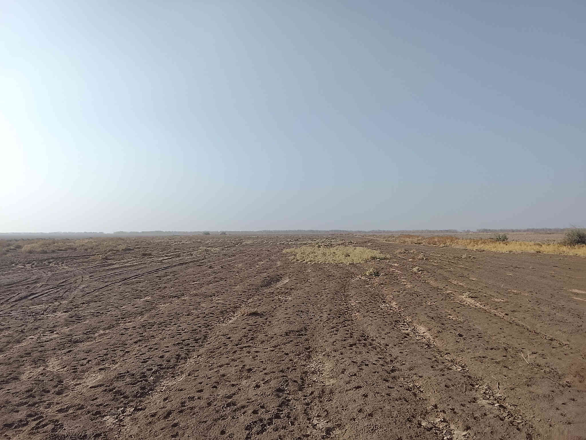 السلام عليك ارض زراعيه للبيع 20دونم عقد زراعي تبعد عن الشارع العام كيلو  واحد  للستفسار ***********
