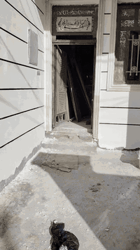 المحتاج لابوخ وجهيات تطعيمات هذا رقمي ***********
