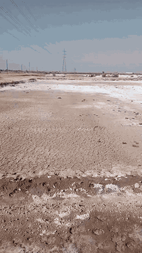 سلام عليكم قطعه ارض لبيع موقع صباغيه خلف مركز الشرطه قريبه ع جملون علاء دلوش مثل ما موضح بالفيديو 
موصفات قطعه طابو زراعي تقع ع شارعين مساحتها 181 وبيها محرم 7 امتار سعرها  14 وبيها مجال بسيط 
الاتصال  *********** او مراسله الصفحه
