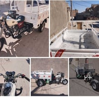 ستوته • دايون • ٢٠١٣