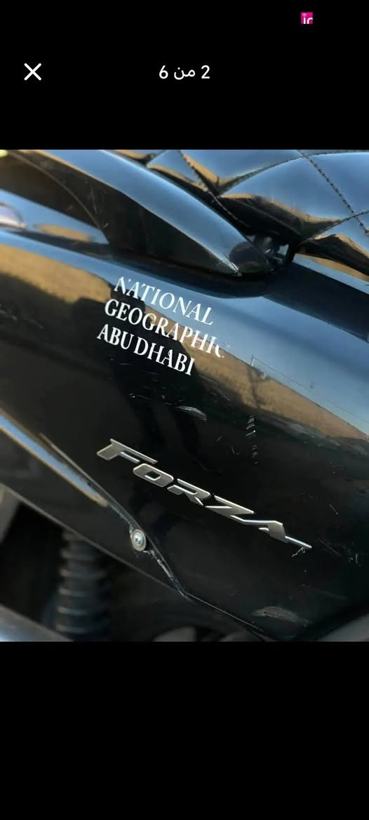 للبيع فورزا 09 محرك كبس في اربيل سعر وتفصيل خاص


**إذا كنت صاحب هذا الإعلان وتريد حذفه لأي سبب، رجاءا أرسل رسالة إلى الدعم الفني**