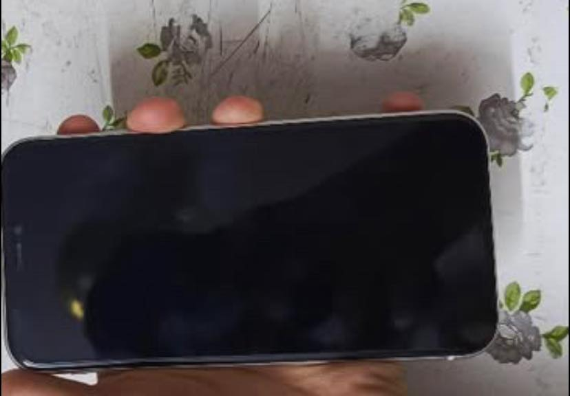 ايفون 11 ذاكره 128 بطاريه 88 نضافه 100‎%‎ زلغ مابي هو والجديد سوه وتر بروف وبلحاسبه كله نورمال يعني كلشي ممبدل بي

السعر 300 الف قفله 💗💗

العنوان بعقوبة تقاطع القدس 

📞📞***********.  واتساب.
