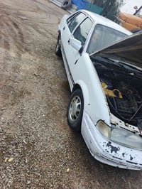 برنس • ١٩٩٥ • المحموديه