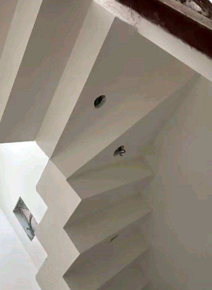 كادر متخصص جص بورك سمنت شغل مضبوط ومصاطر وبسعر مناسب واتساب مفتوح  ***********
