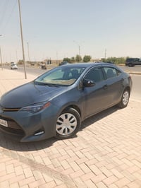 كورلا • ٢٠١٧ • بيجي