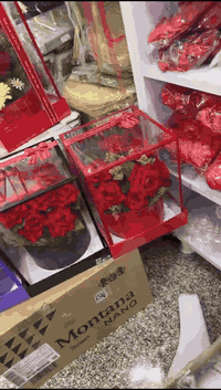 دزينات كرسمس • تجهيزات ايفا • خانقين داره كوناره