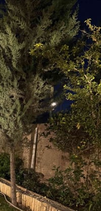 حي الجوادين • ٣٣٥م • قطعة ٩٠م