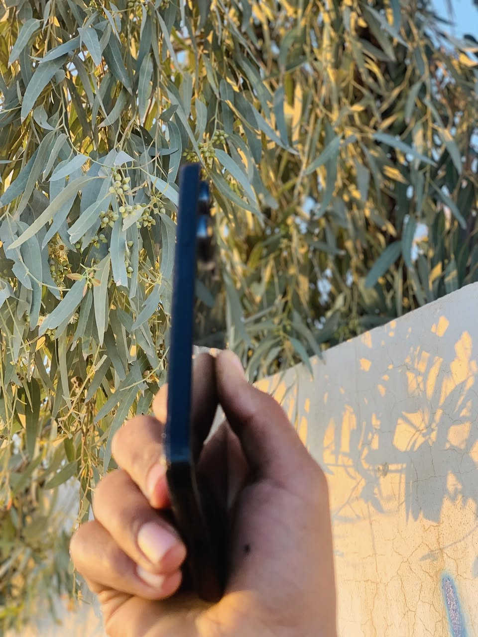 السلام عليكم بوكو m6🛑
للبيع ذاكره ٢٥٦رام ١٦🛑
شاشه ١٢٠هرتز🛑
٦٠فريم بوبجي 🛑
جهاز كله شرط🛑 
مستخدم شهرين🛑
كارتون وكيبله ويا🛑
جهاز كله شرط ضمان يوم 🛑
من خلل عيب🛑
السعر ١٤٥وبي مجال قليل🛑
***********
