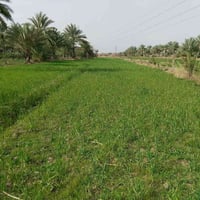 دونم ونص • واجهية ٢٠م • خلف مدرسة المستقبل