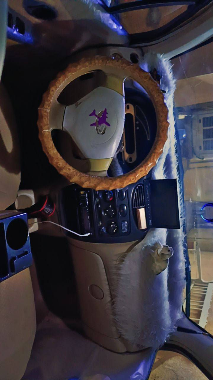 كيو كيو موديل 2010 سياره كير عادي ارقام نكليزي سياره كامله من كلشي هزه تحويل ثاني يوم سعر 30 وبيه مجال رقمي *********** مكاني فلوجه
