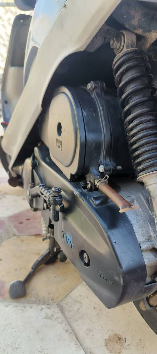 متاح منغولي مكفولة كفالة عامة
ماكس منغولي لون بحري قبل 5اشهر نازلة حاوية شرط شلعة ومعدل نضافة 100%  نكرة سلف وهندر مكينة خرسة مكفولة من كلشي 

مكاني ديوانية 
رقمي ‏‪***********‬‏
واتساب *********** 
السعر 725 مجال حك الجية 
متواجد خاص
