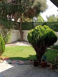 حي دوميز • ٣٠٠م • غرفتين