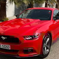 مۆستانگ • ٢٠١٧ • هەولێر