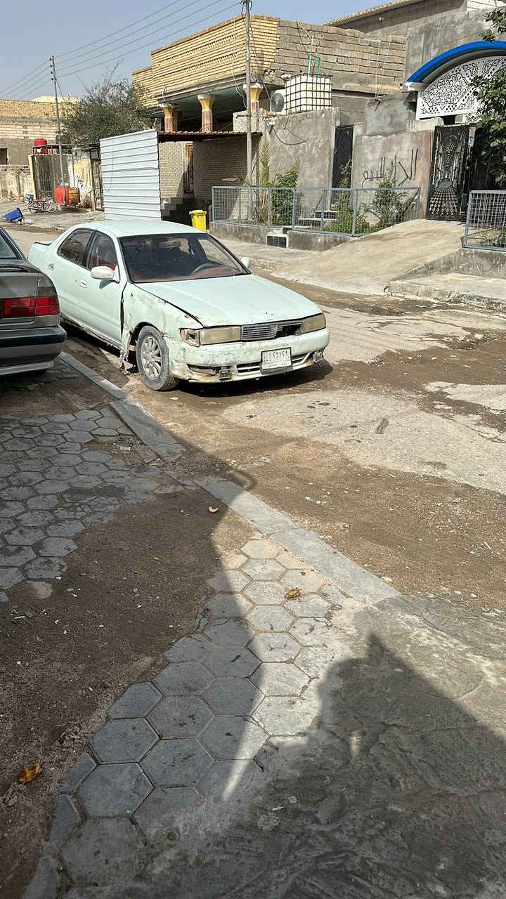 ‏المحرك ‏ونجي
‏ تعهد بقص والنغل وكاف ايه الاصولي 
‏المكان البصرة صفوان السعر 17
***********
