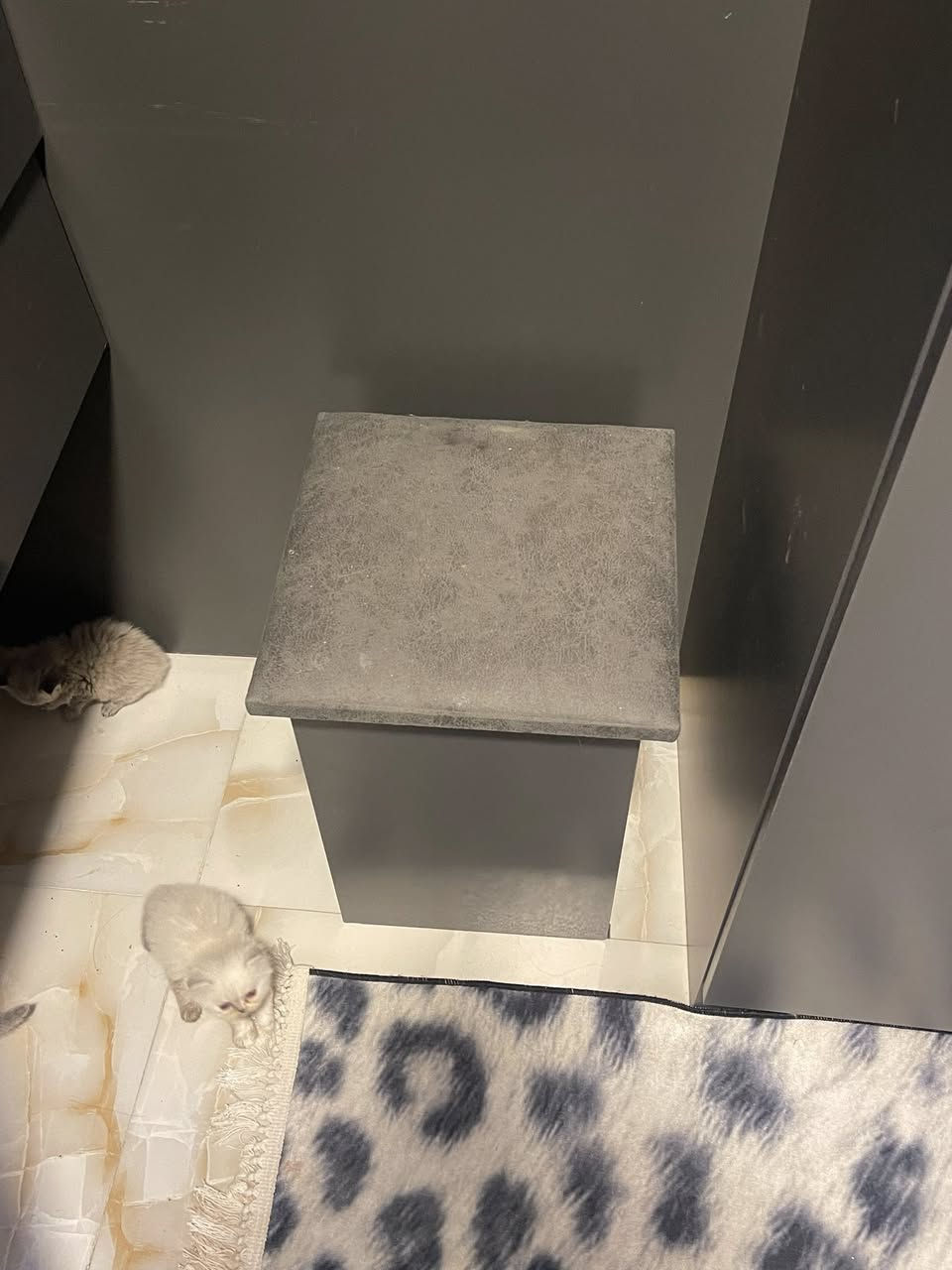 غرفه جديده تركيه زاويه مستعمله فقط اشهر قليله مابيها اي ضرر واياها دوشك قفلها ب800 الف خمس قطع بكاني بغداد المشتل لشرايه يتواصلون عل هذا رقم ***********
