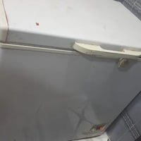 مجمدة • تجميد فول