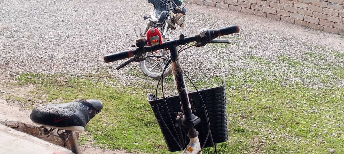 بايسكل للبيع


**إذا كنت صاحب هذا الإعلان وتريد حذفه لأي سبب، رجاءا أرسل رسالة إلى الدعم الفني**