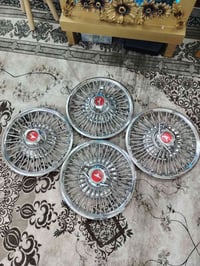 من رخصت الادمن# تخم موستنك حجم ١٤ فحص للبيع #عنوان بغداد متواجد خاص 07...