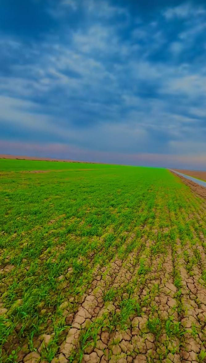 عرض زراعيه للبيع عقد 35 زراعي 210دونم في واسط بين قضاء الحسينيه وقضاء النعمانيه استصلاح مستصلحه كلها سواقيها كلها مبطنه مستصلحه من قبل الدوله ماي متوفر شتاء وصيف وبالعافيه علي ياخذها مكلف بل نشر ***********//***********
