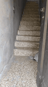 شقة حي سومر قرب جامع قباء بدل الايجار 200 الف ***********
