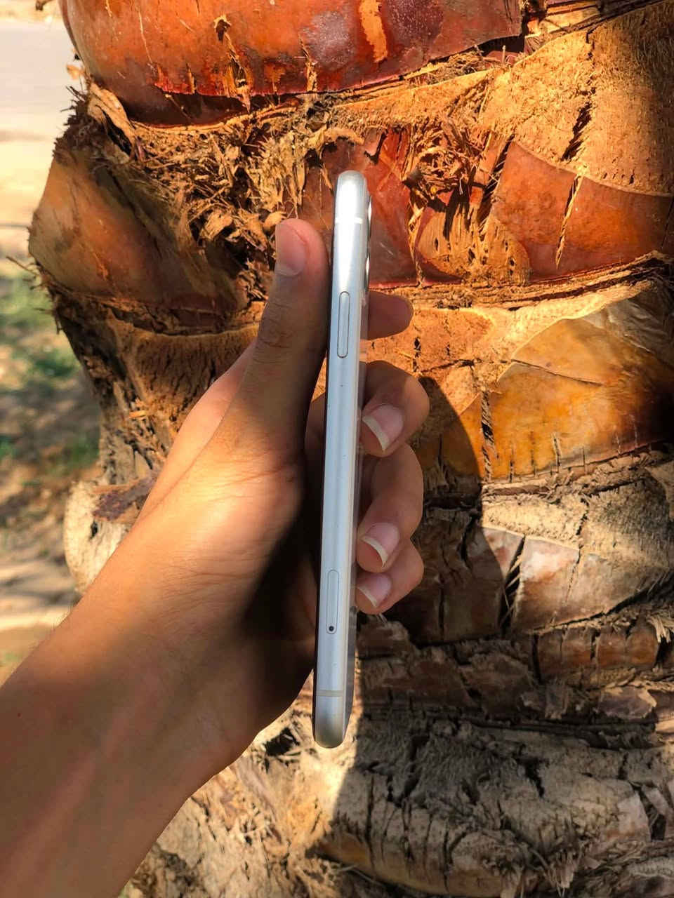 للبيع iPhone11 
بلادي 
ذاكرة 128
بطارية 76
فيس إيدن شغال 
نضافة 100/100
كلشي شغال 100/100
تأخذة وتفحص عل حاسبة 
سعر مناسب 250فقط 
عنواني تكريت -البوعجيل


**إذا كنت صاحب هذا الإعلان وتريد حذفه لأي سبب، رجاءا أرسل رسالة إلى الدعم الفني**