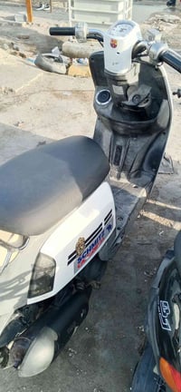 ماكس بوليسي • دراجة بلدية • البصرة أبو الخصيب