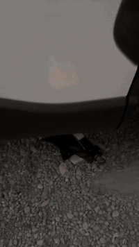 السعر 25الف والتوصيل مجانا 

للحجز المراسلة( خاص ) 🛑 

أو 
المراسلة على هذا الرقم #***********
