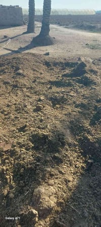 دمن هوش للبيع الاستفسار للاتصال على الهاتف ٠٧٨٢٨٣٠٨٠٢٢