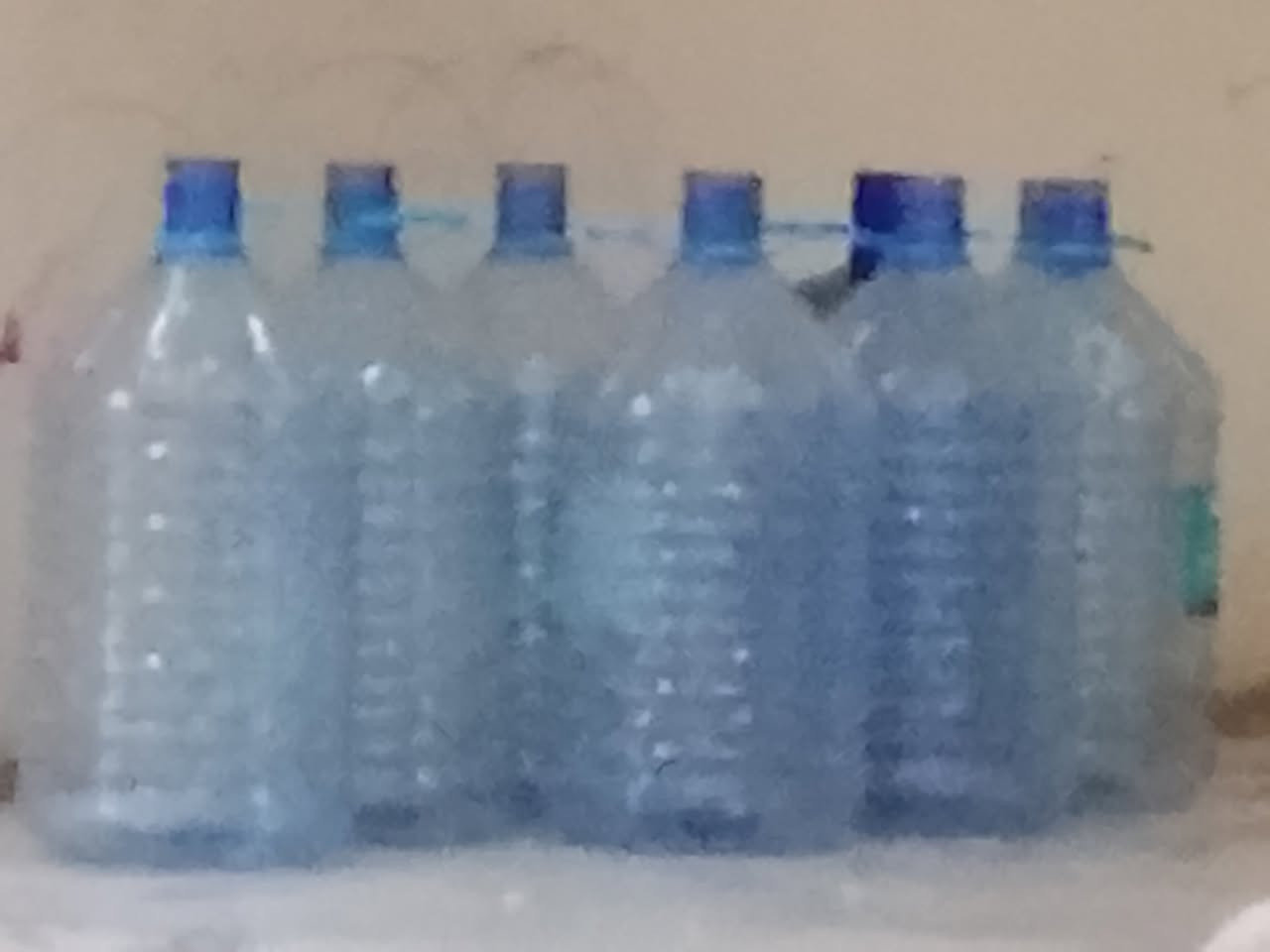 قرورات للبيع كوت الزهراء ***********
