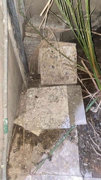 كاشيات • مجانا • جاهزة للاستلام