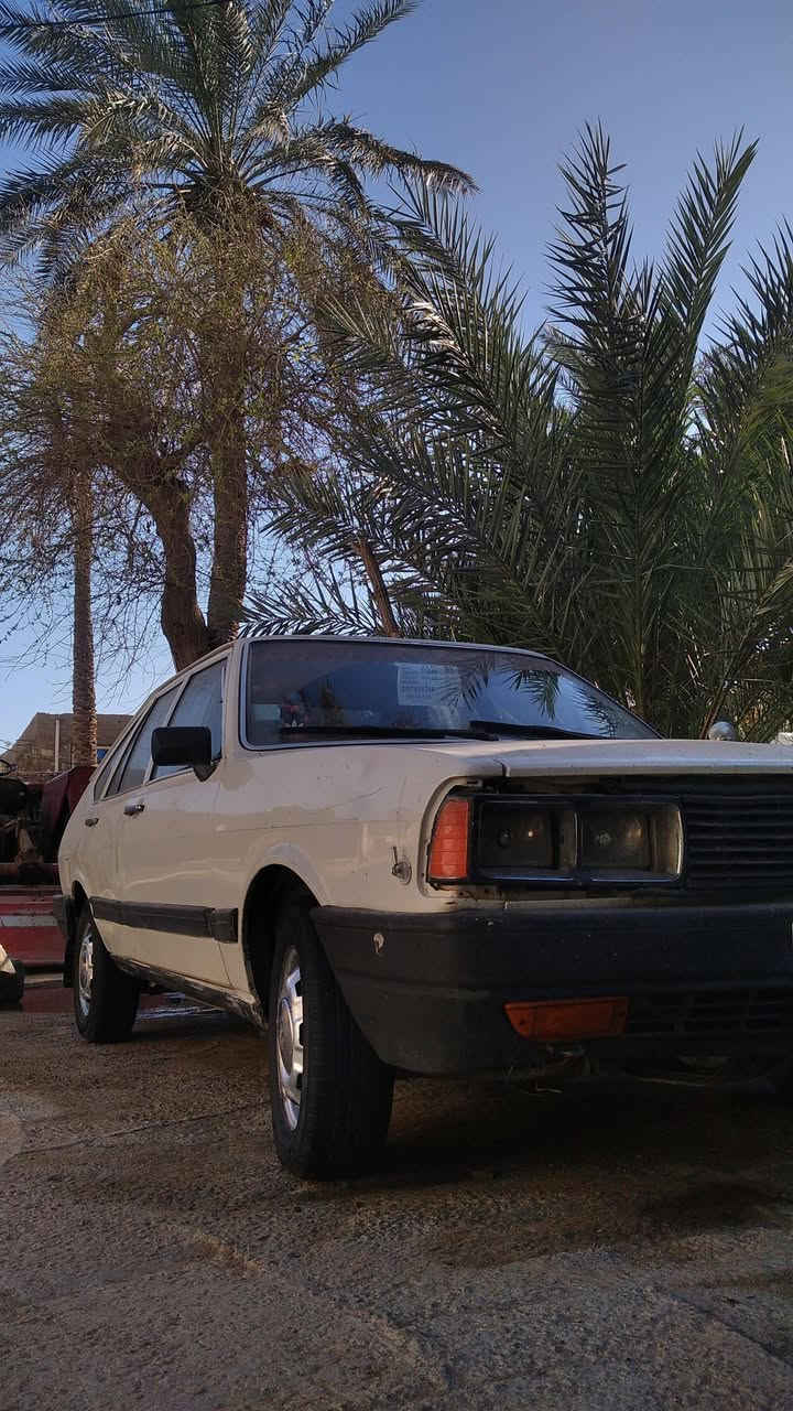 سلام عليكم برازيلي مديل 87سياره مكفولة من ضربه بيهه شويه مكان صبغ مكينه كير مكفولات سياره بسمي المكان النجف السعر35.    ***********
