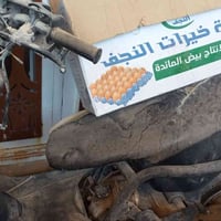 فراشه • نجف • حي النداء