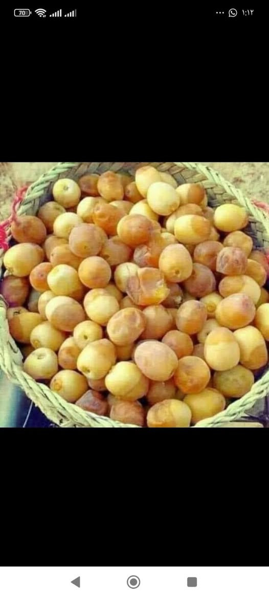 سلام عليكم
بعد اذن مسؤل الكروب 
يوجد نخل برحي  حمال فسائل 
نخل مجھول حمال فسائل 
نخل لؤلؤي حمال فسائل 
شرط نفس الصورھ والضمان رسمي موثق بوصل 
للأستفسار واتساب فقط ***********ابوھشام
