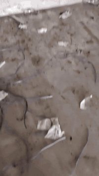 فصل وربط مكان بغداد تقاطع درويش مال البياع رقم الهاتف ***********
