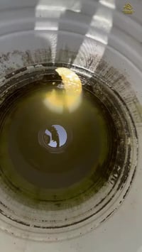 للتواصل عبر الخاص او الرقم 07861822641استخدام ماء ملوث أو غير نقي للاغ...