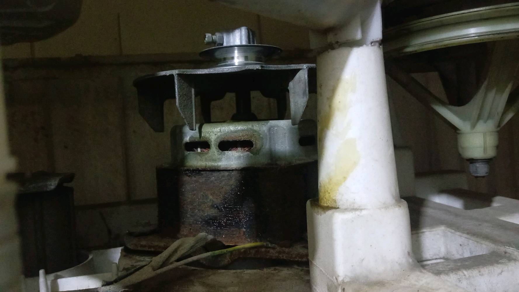 بغداد مدينه الصدر الاورفلي 