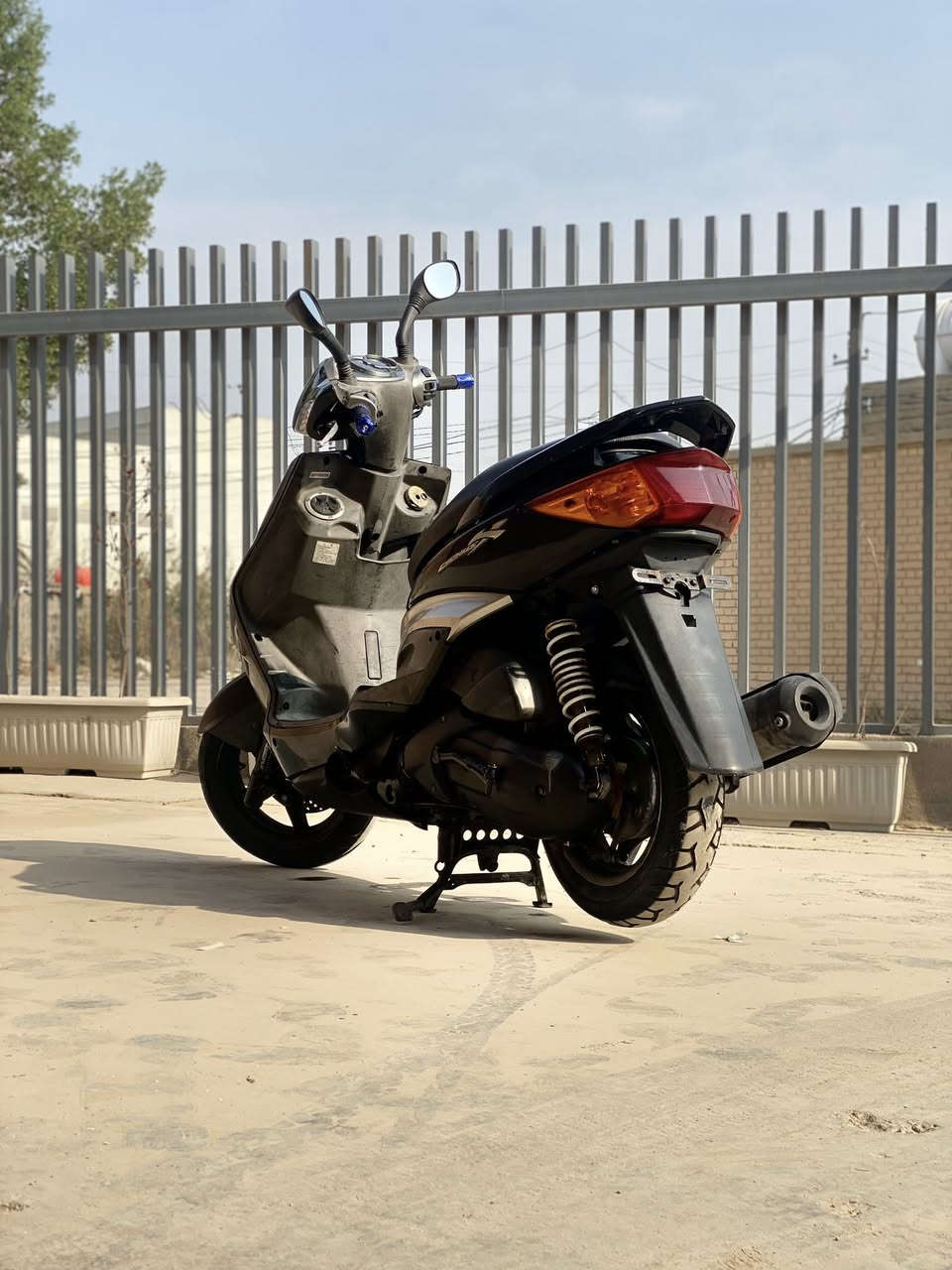 اسلام عليكم للبيع سكنس فحل كابريتر***********
